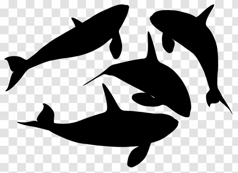 Dolphin Porpoise Killer Whale Clip Art Whales - Silhouette Transparent PNG