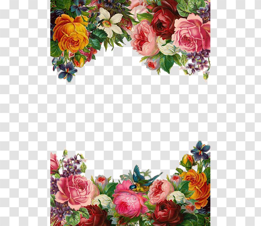 Flower Pixabay Clip Art - Rose - Beautiful Flowers Border Transparent PNG
