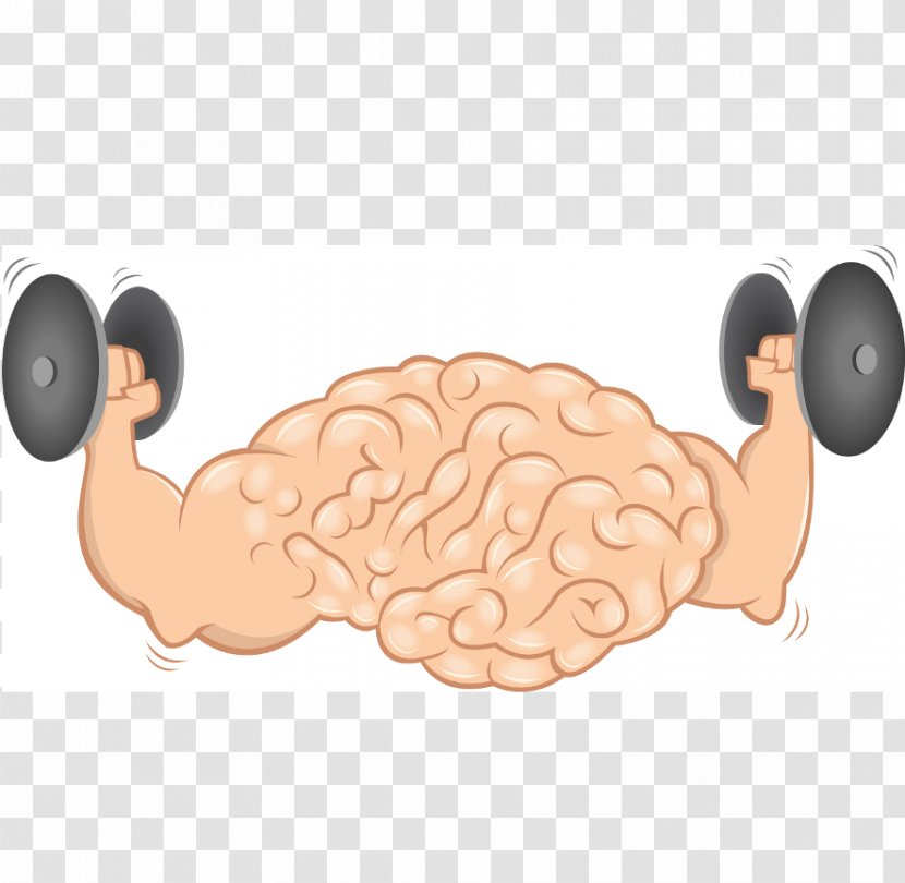 Brain Agy Muscle Exercise Physical Activity - Frame - Health Transparent PNG