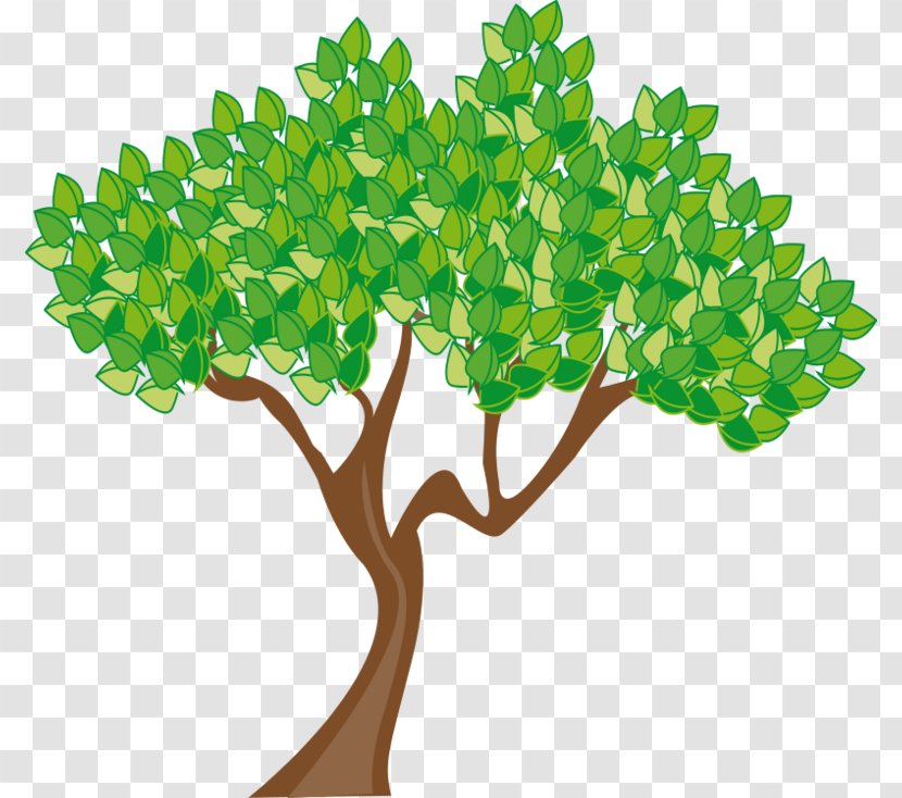 Tree Summer Clip Art - Spring - Money Pictures Transparent PNG