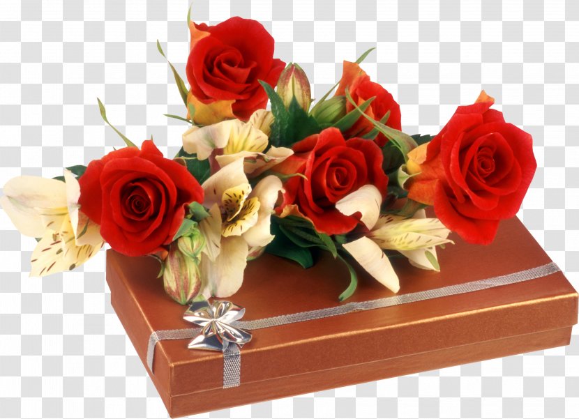 Birthday Desktop Wallpaper Flower Gift - Rose Family - Luxe Transparent PNG