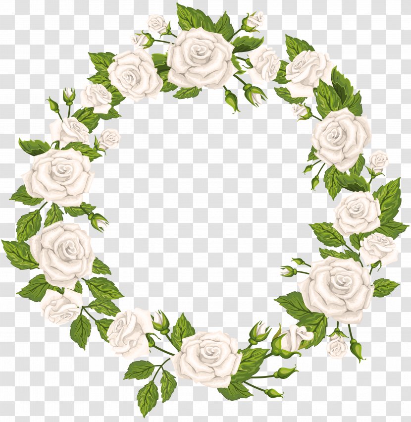Rose White Clip Art - Petal - Roses Border Transparent PNG