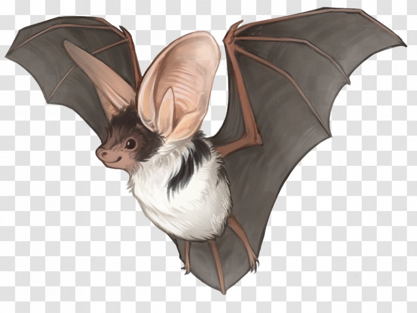 Kitti's Hog-nosed Bat Drawing Spotted Common Vampire - Kitti S Hognosed - Hand Painted Transparent PNG