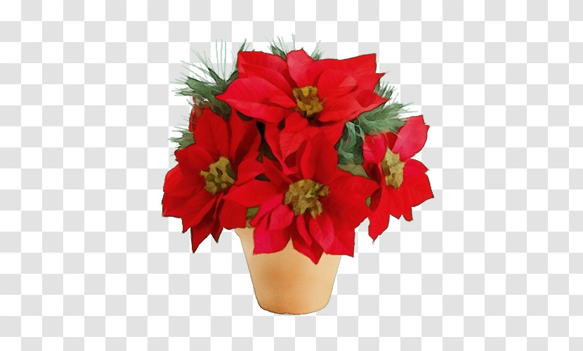 Flower Red Poinsettia Plant Cut Flowers Transparent PNG