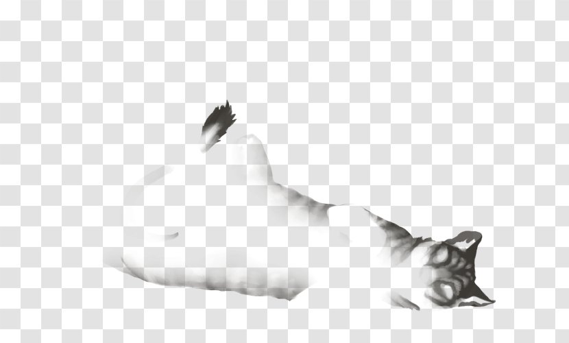 Whiskers Cat Dog Fur Paw - Black And White Transparent PNG