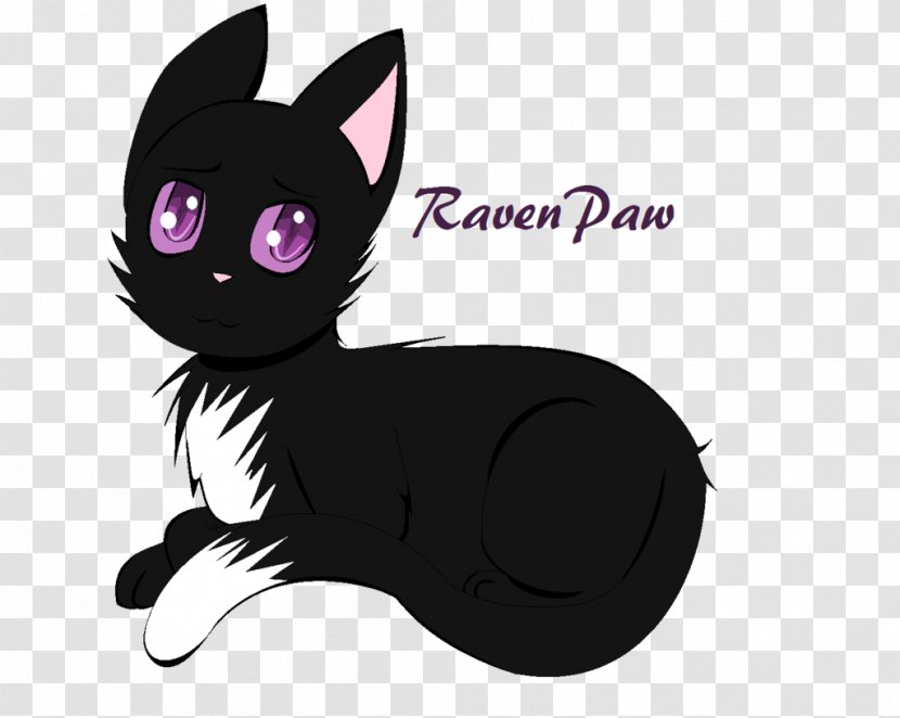Kitten Whiskers Black Cat Warriors - Fictional Character Transparent PNG