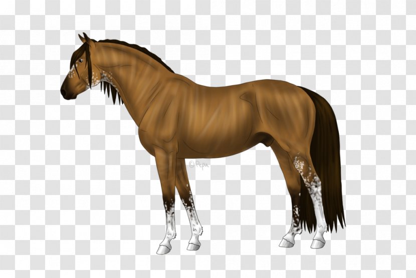 Mane Mustang Stallion Andalusian Horse American Miniature - Sorrel Transparent PNG