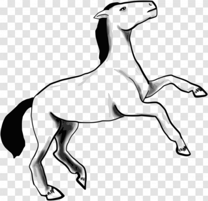 Arabian Horse Dog Mustang Pony Clip Art - Wild Transparent PNG