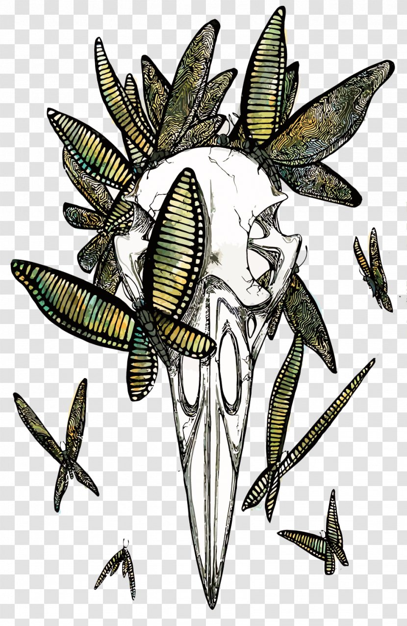 Drawing Painting Artist Pokxe9mon - Invertebrate - Vector Butterfly And Skeleton Transparent PNG