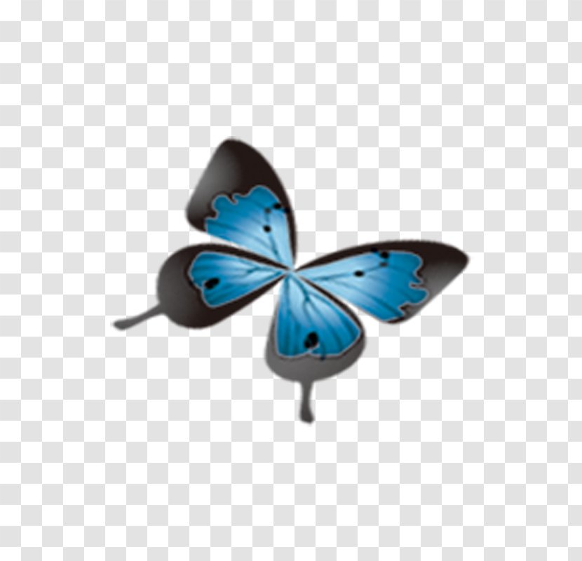 Sky Blue Turquoise Game Fashion - Butterfly Transparent PNG