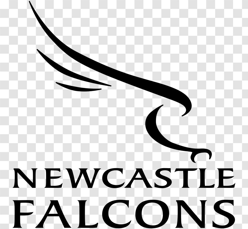 Newcastle Falcons English Premiership Worcester Warriors Upon Tyne Sale Sharks - Calligraphy Transparent PNG