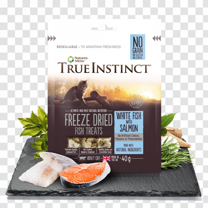 Dog Biscuit Cat Food - Salmon Fillet Transparent PNG