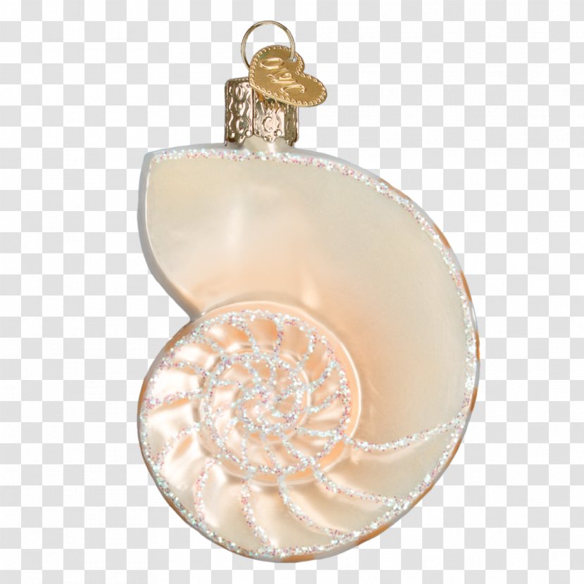 Christmas Ornament Seashell Decoration Nautilidae - Sand Dollar Transparent PNG