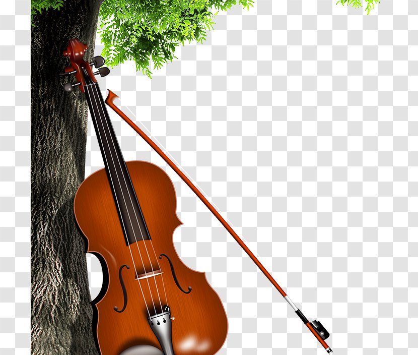 Bass Violin Violone Viola Double - Frame Transparent PNG
