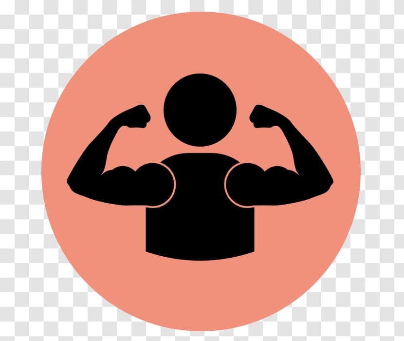 Muscle Biceps - Bodybuilding - Arm Transparent PNG