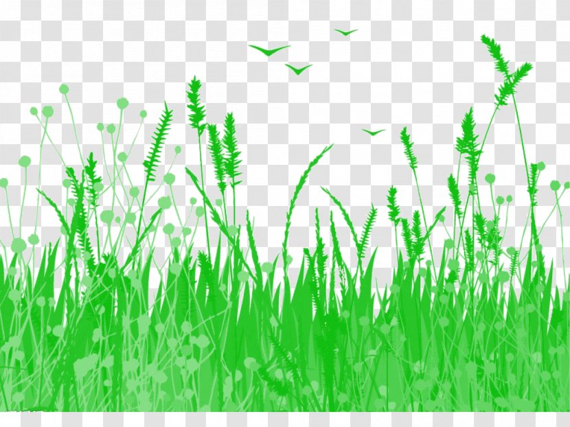 Watercolor Painting Illustration - Green - Grass Transparent PNG