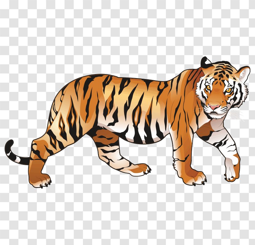 Riding The Tiger: How To Execute Business Strategy In India Bengal Tiger Management - Wildlife Transparent PNG