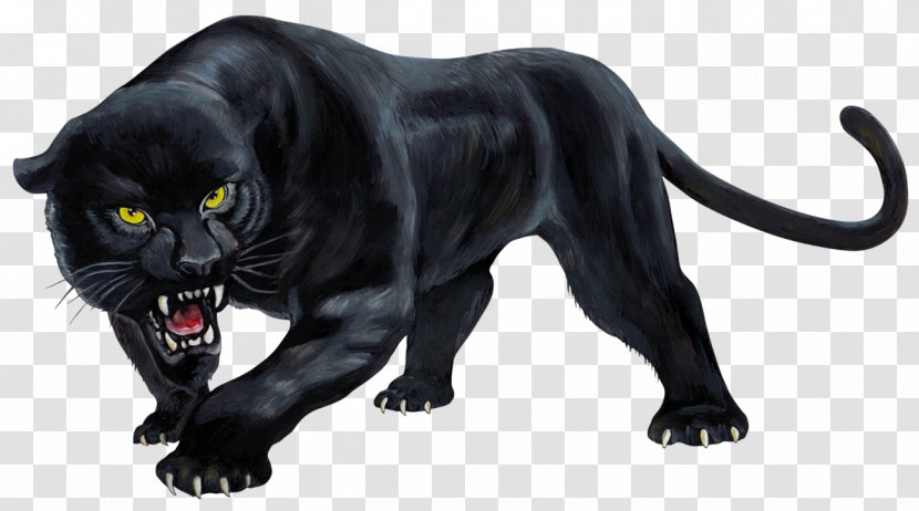 Real Panther Simulator Panthera Wild Sim 3D Black Cub - Big Cats - Android Transparent PNG