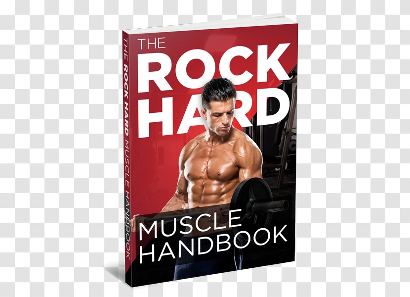 Muscle Hypertrophy Bodybuilding Human Body - Heart - Hard Rock Transparent PNG