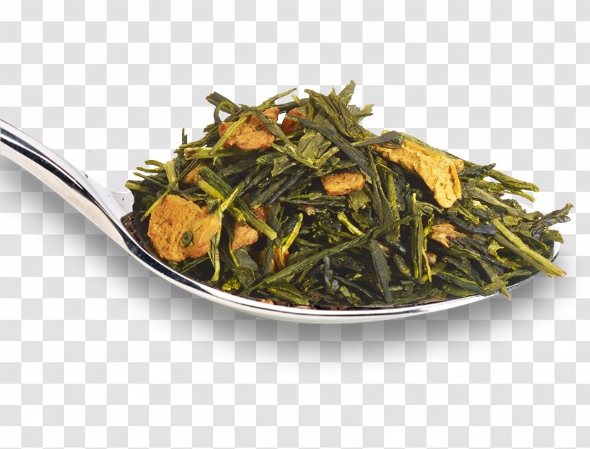 Sencha Green Tea Elderflower Cordial Nilgiri Transparent PNG
