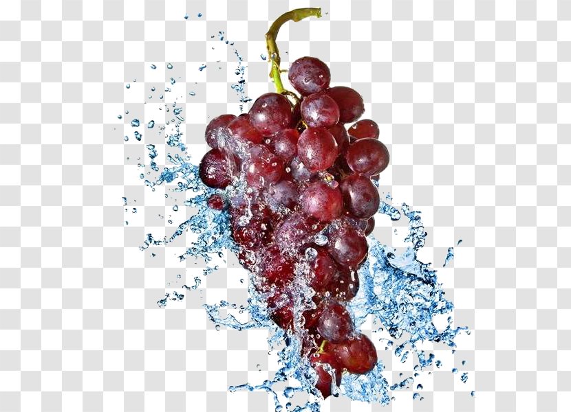 Juice Common Grape Vine Stock Photography Water - Grapevine Family Transparent PNG