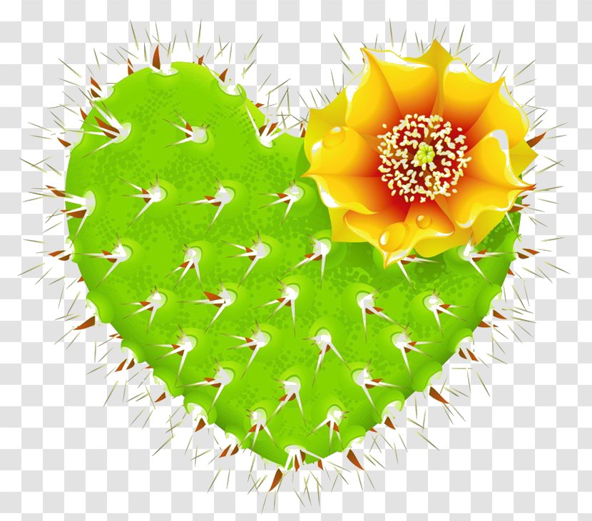 Barbary Fig Cactaceae Thorns, Spines, And Prickles Heart - Color - Cactus Love Transparent PNG
