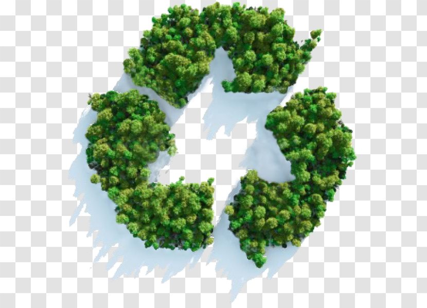 Sustainability Sustainable Development Business Recycling Transparent PNG