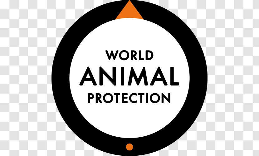 World Animal Protection Canada Welfare Tiger Temple - Elephant Transparent PNG