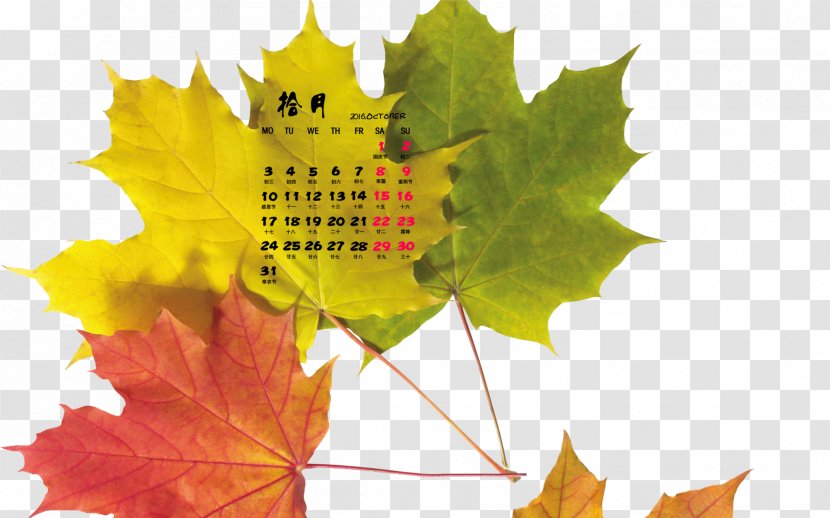 Autumn Maple Leaf Desktop Wallpaper Transparent PNG