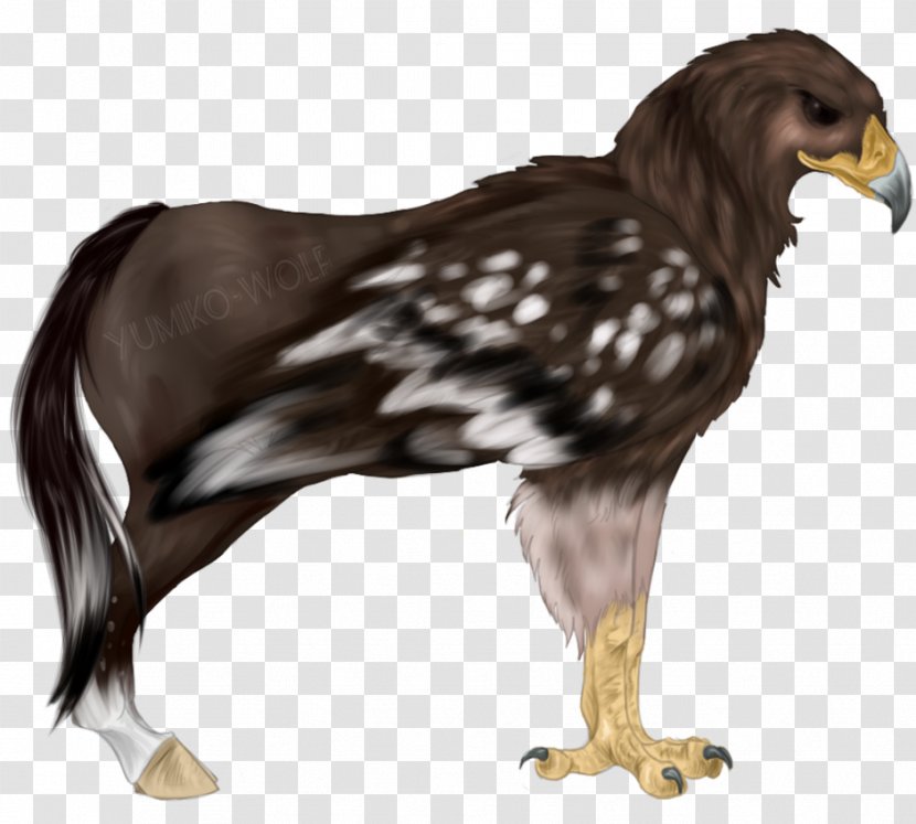 Eagle Hippogriff Horse Legendary Creature Griffin Transparent PNG