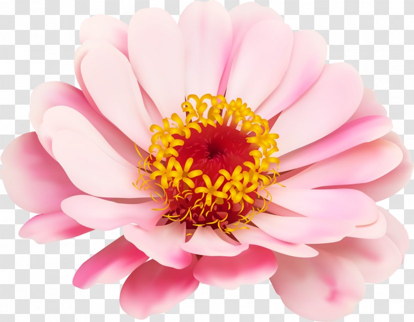 Royalty-free Photography - Blossom - Flower Transparent PNG
