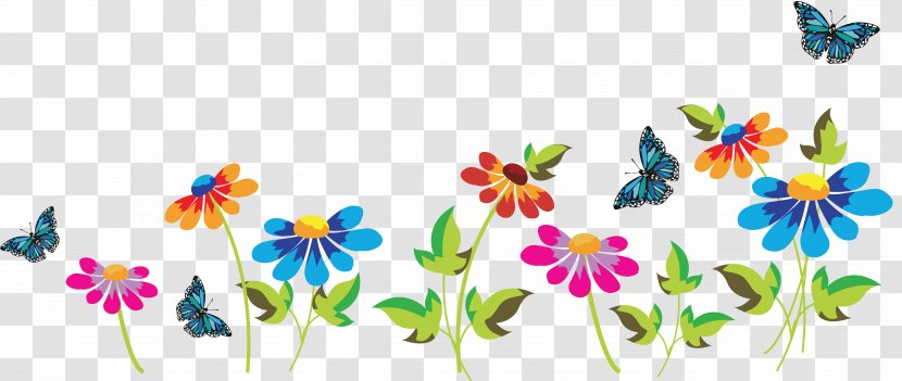 Holi - Pollinator - Flower Transparent PNG