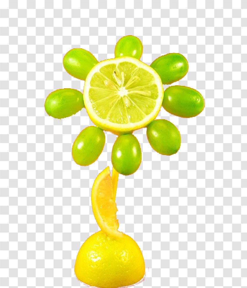 Lime Lemon Orange - Sweet - Flower Design Transparent PNG