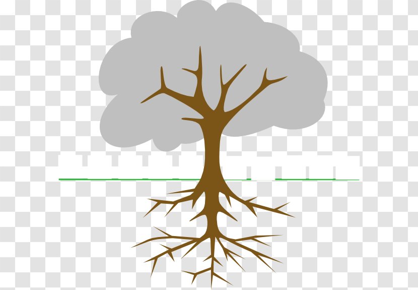 The Great Kapok Tree Branch Clip Art - Leaf - Root Transparent PNG