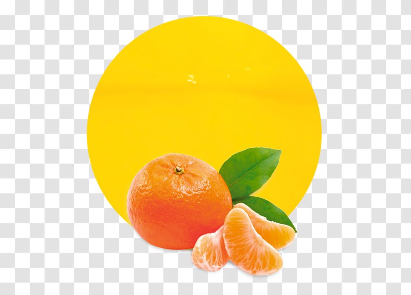 Learning Fruits Mandarin Orange Juice Education - Tangerine Transparent PNG