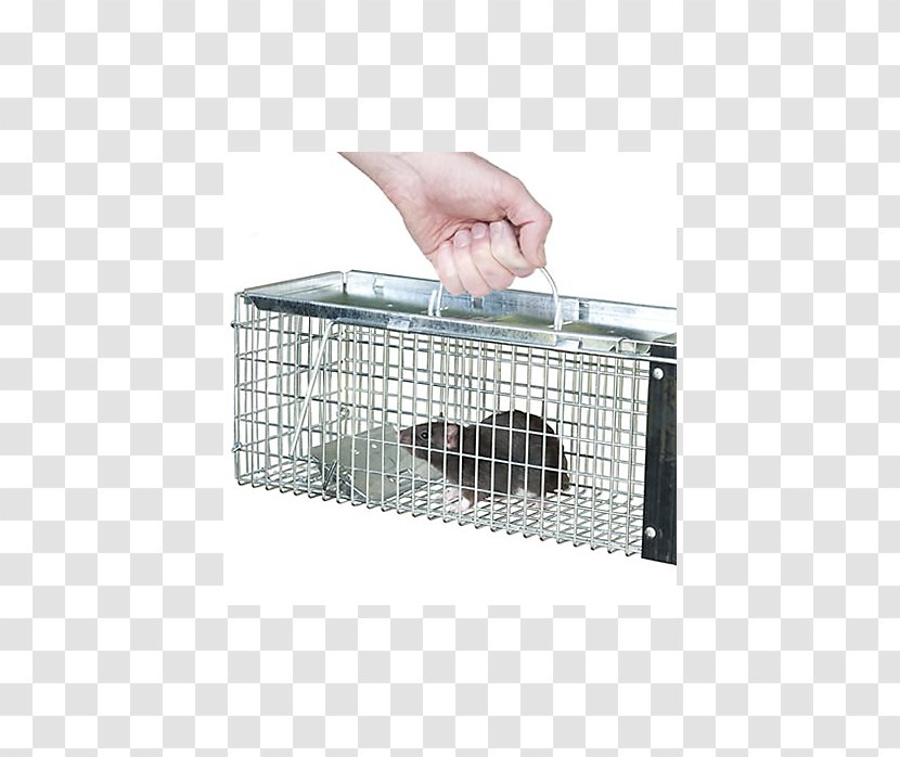 Trapping Rat Mousetrap Cage - Red Squirrel - Safe Production Transparent PNG