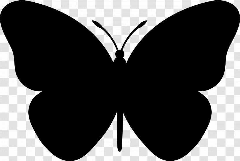 Clip Art Butterfly Silhouette Image - Drawing - Insect Transparent PNG