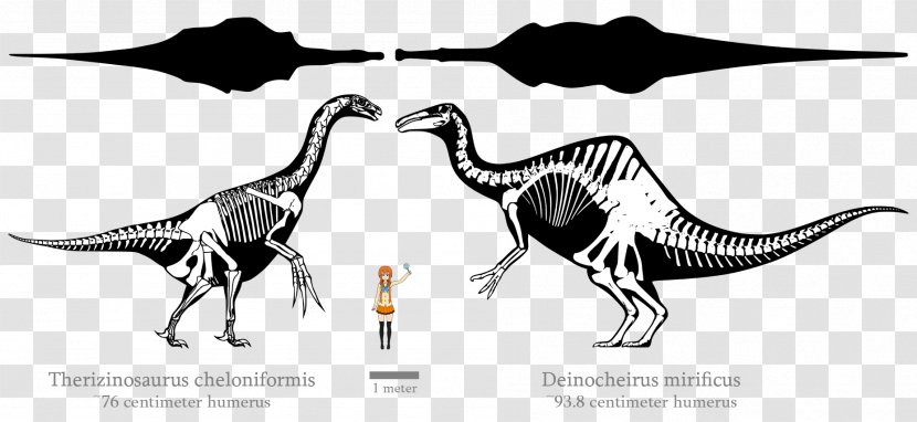 Tyrannosaurus Deinocheirus Therizinosaurus Tarbosaurus Dinosaur - Bird Transparent PNG