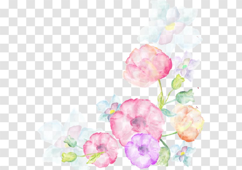 Watercolor Painting Flower - Rose - Flowers Album Transparent PNG