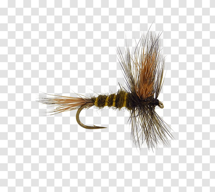 Artificial Fly Fishing Royal Coachman Emergers Transparent PNG