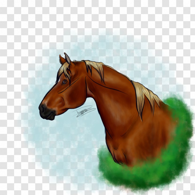Mane Mustang Stallion Foal Colt - Grass Transparent PNG
