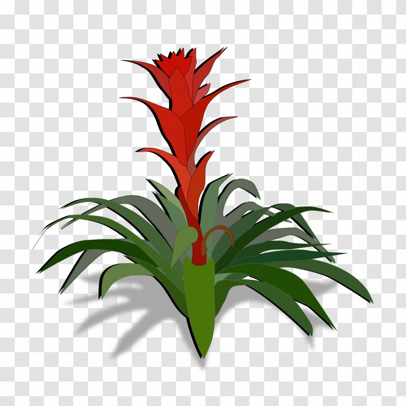 Bromeliads Plant Clip Art - Tropical Leaf Transparent PNG