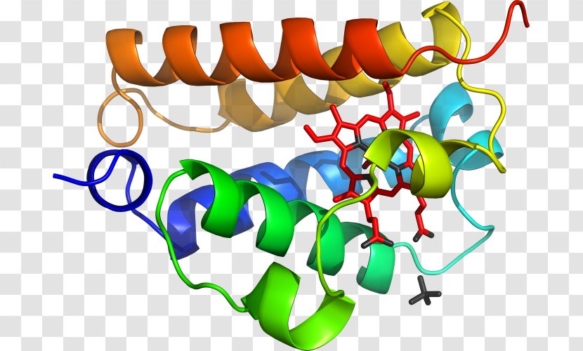 Clip Art Organism Human Behavior Product Graphic Design - Text - Deoxygenated Hemoglobin Molecule Transparent PNG