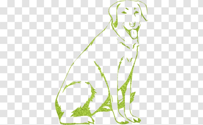 Labrador Retriever Coat Colour Genetics Puppy Golden Rottweiler - Flowering Plant - Dog Picture Material Transparent PNG