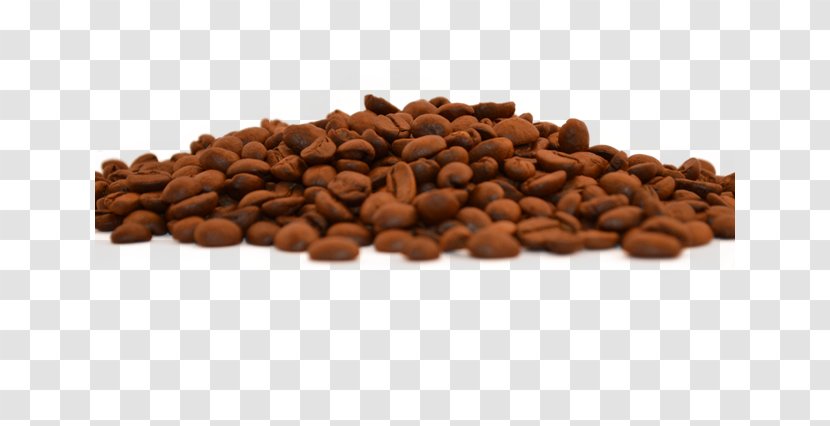 Jamaican Blue Mountain Coffee Brown Nut Commodity - Granos De Cafe Transparent PNG