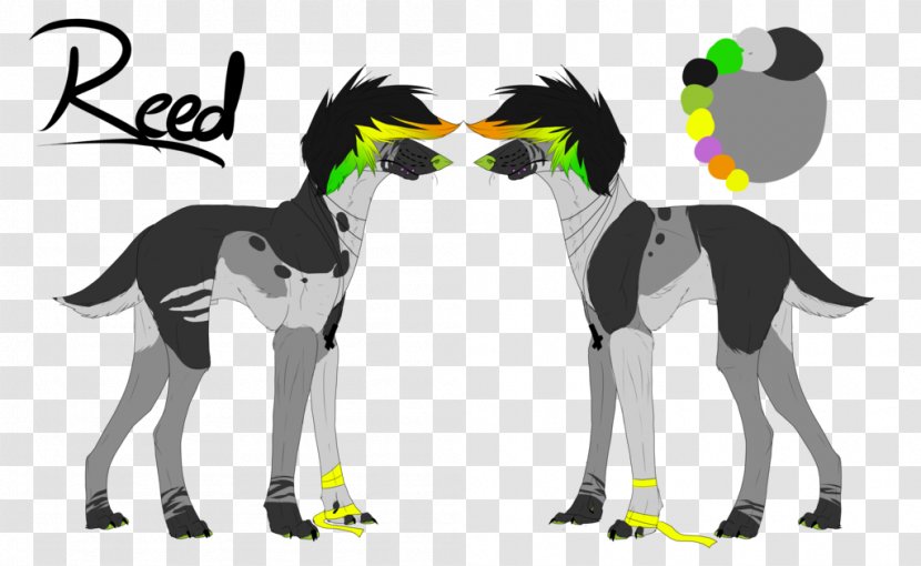 Horse Cat Dog Bird - Carnivoran Transparent PNG