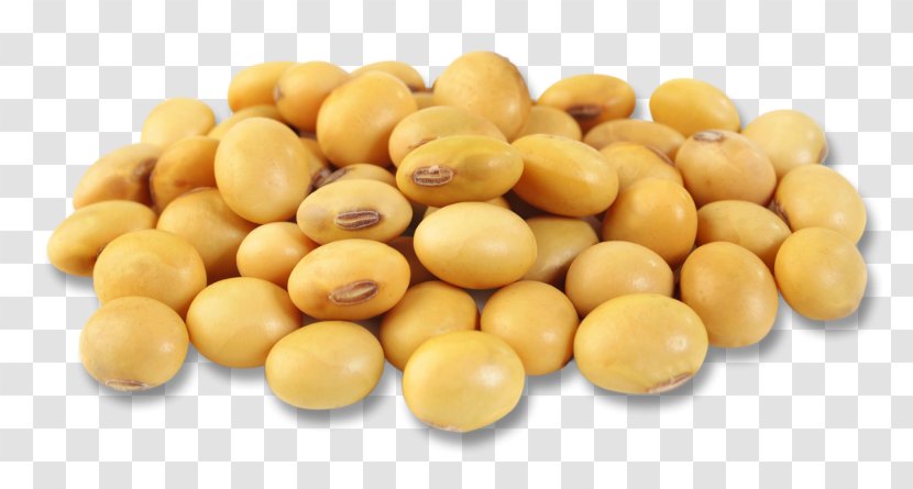 Edamame Soybean Oil Vegetarian Cuisine Chickpea - Peanut - Adzuki Bean Transparent PNG