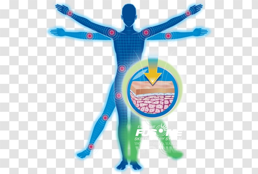 Vitruvian Man Homo Sapiens Human Body - Cartoon - Arthritis Transparent PNG