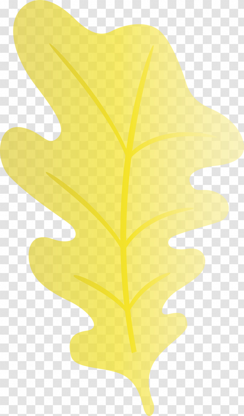 Leaf Tree Yellow Meter Line Transparent PNG