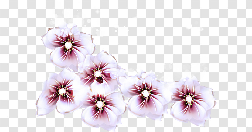 Mallows Herbaceous Plant Cut Flowers Pansy Petal Transparent PNG